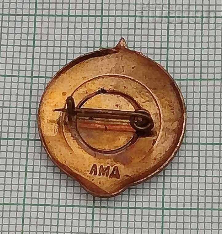 INSIGNĂ DE TURISM EMAIALĂ TURIST TINERET URSS cu preț 5.00 BGN | € 2.56