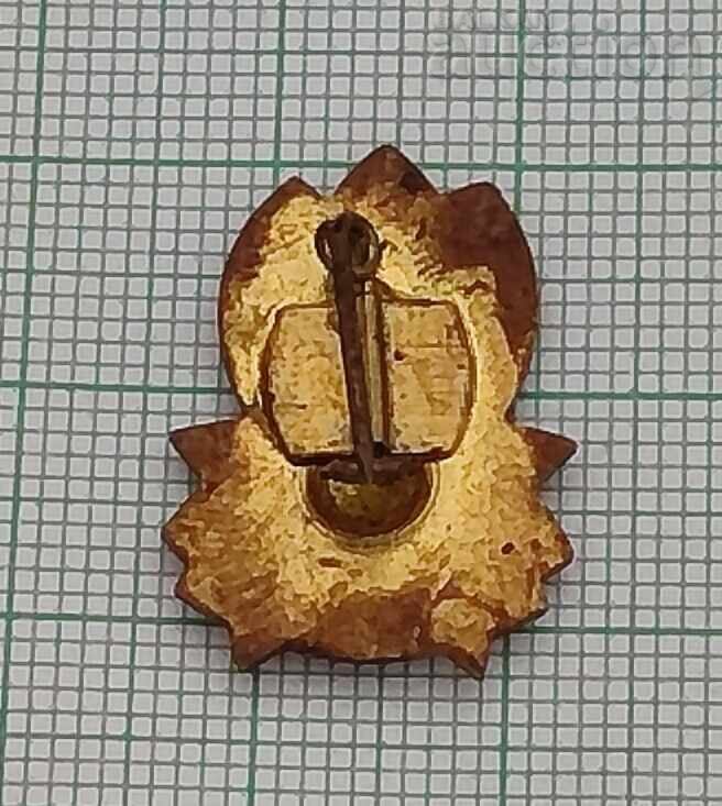 ВИНАГИ ГОТОВ ПИОНЕРИ НРБ ЗНАЧКА с цена 1.00 лв. | € 0.51 ВИНАГИ ГОТОВ ПИОНЕРИ НРБ ЗНАЧКА с цена 1.00 лв. | € 0.51