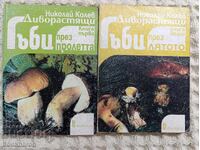 Nikolay Kolev: Wild Mushrooms in Spring and Summer