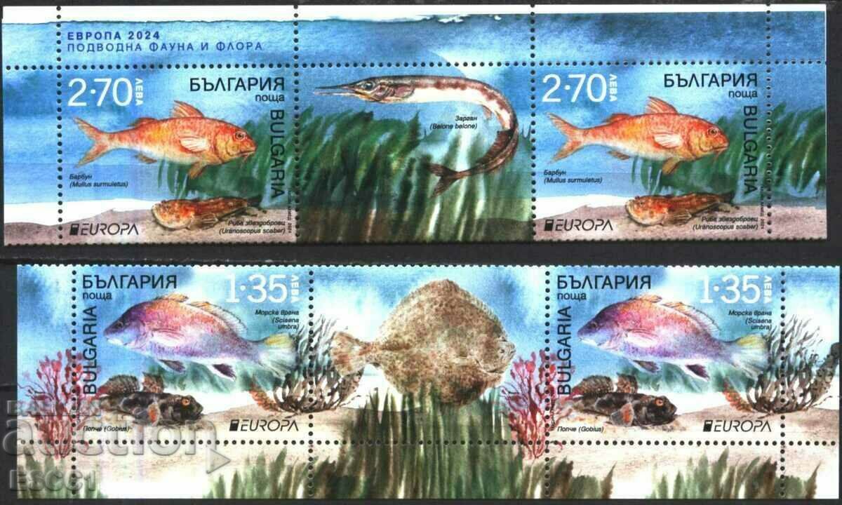 Чисти марки Европа СЕПТ Риби 2024 от България