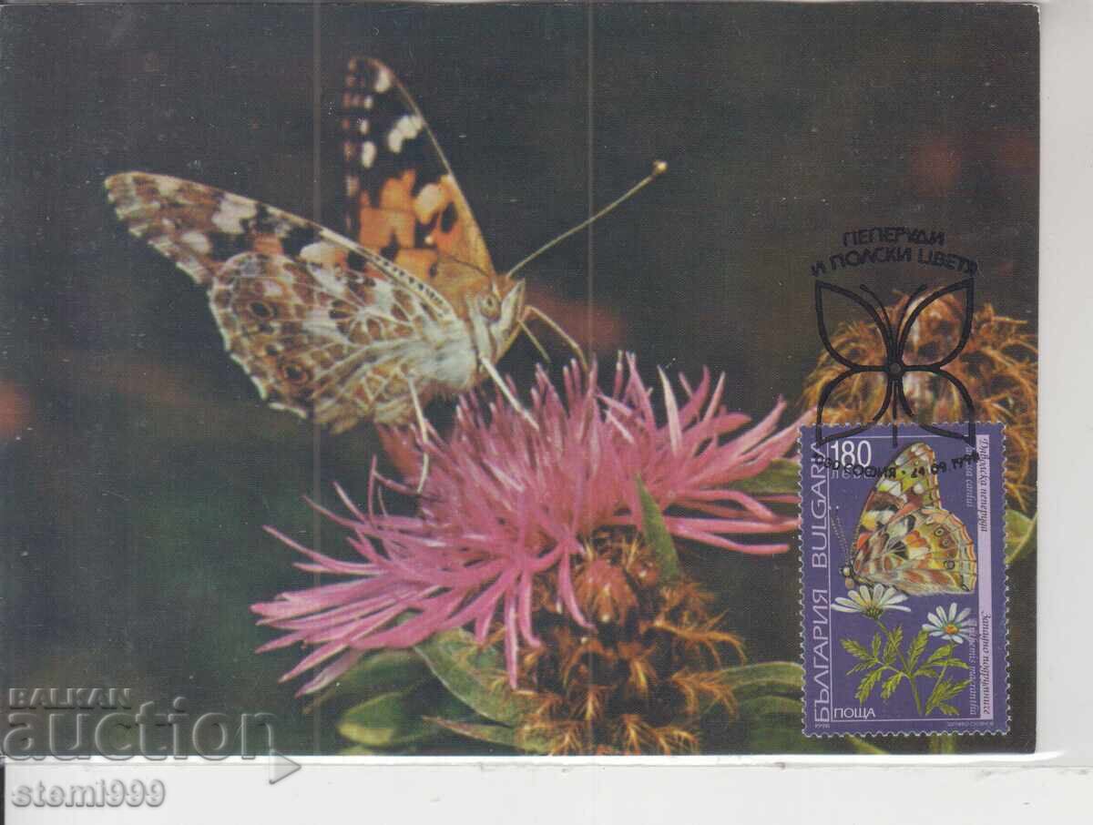 Postcard MAX FDC Butterflies Insects