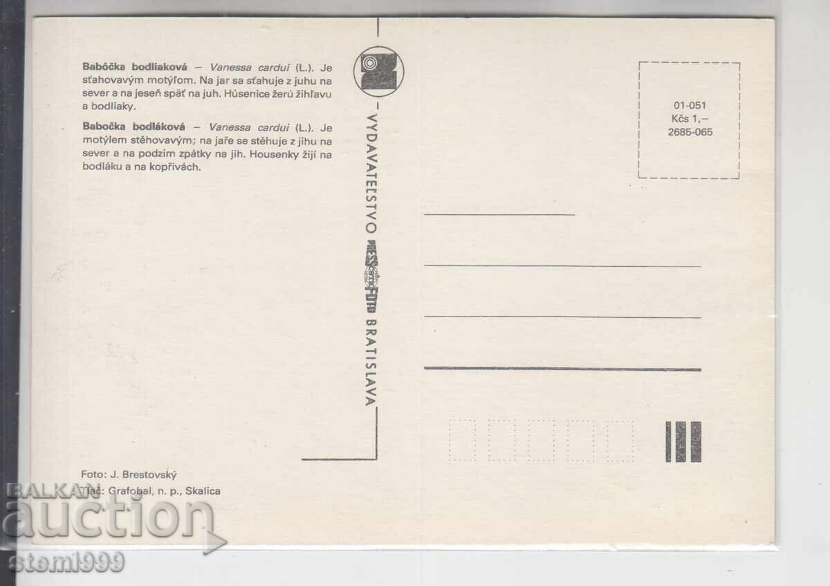 Postcard MAX FDC Butterflies Insects with price 2.50 BGN | € 1.28