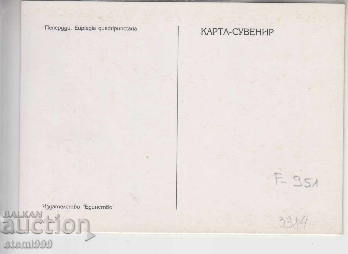 Postcard MAX FDC Butterflies Insects with price 2.50 BGN | € 1.28