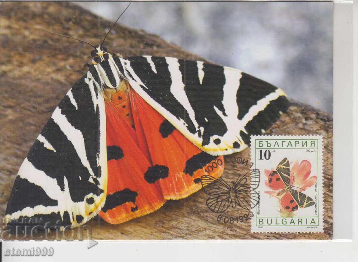Postcard MAX FDC Butterflies Insects