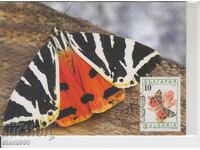 Postcard MAX FDC Butterflies Insects