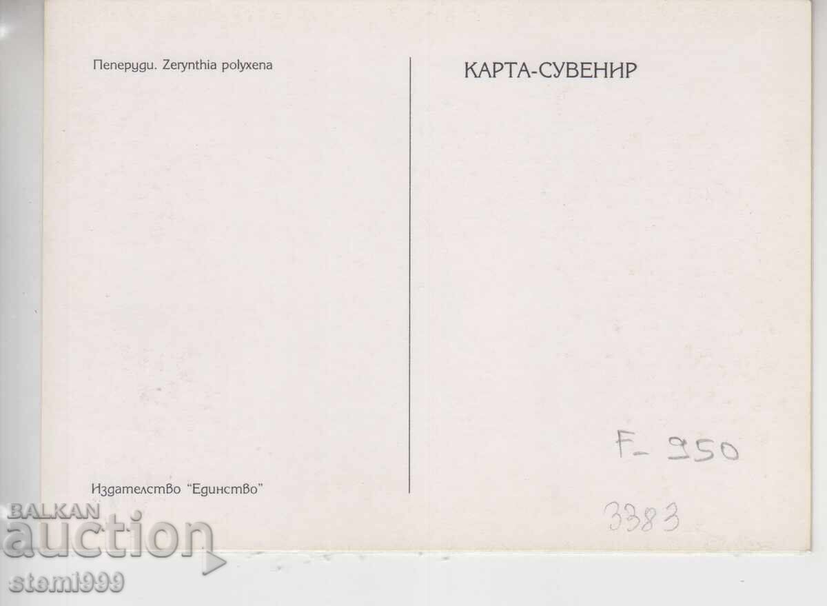 Postcard MAX FDC Butterflies Insects with price 2.50 BGN | € 1.28