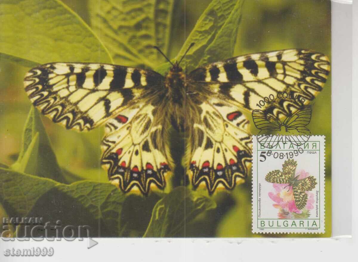 Postcard MAX FDC Butterflies Insects