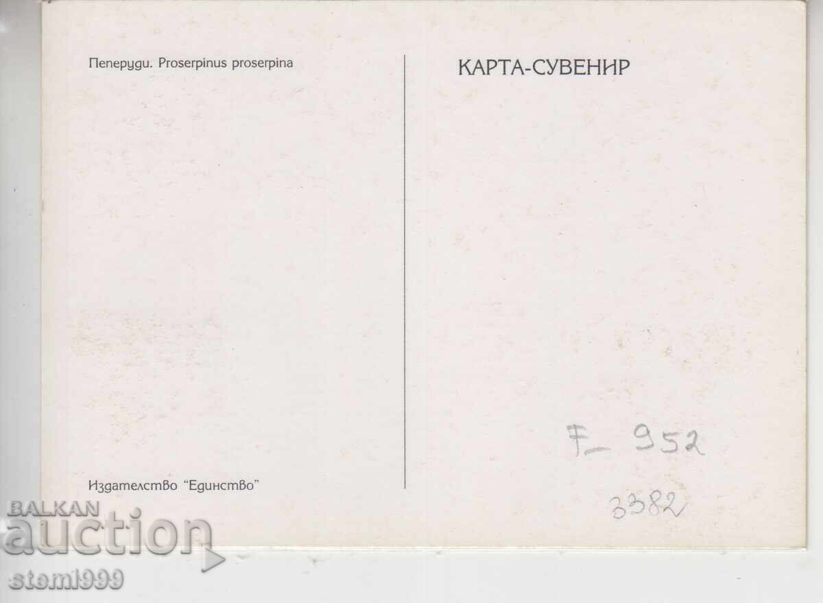 Postcard MAX FDC Butterflies Insects with price 2.50 BGN | € 1.28