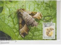 Carte poștală MAX FDC Fluturi Insecte