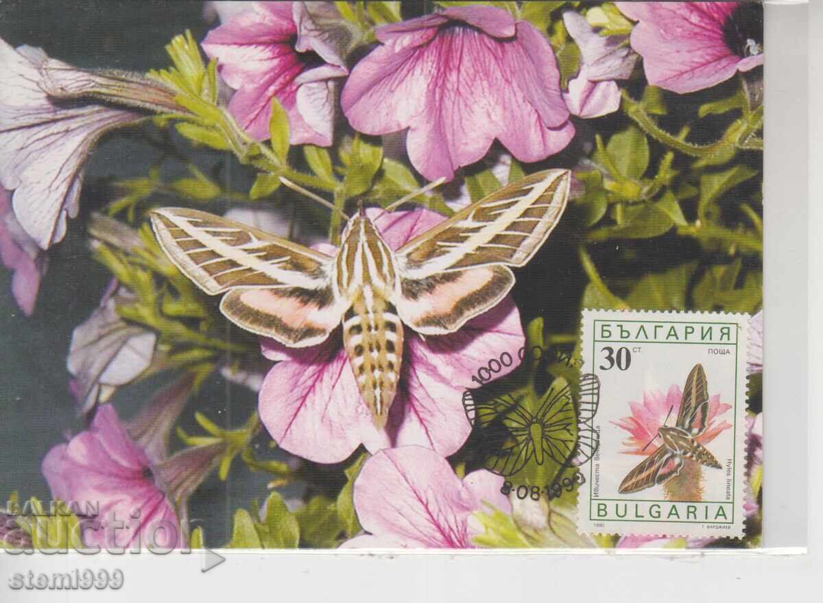 Ταχυδρομική κάρτα MAX FDC Πεταλούδες Έντομα