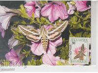 Ταχυδρομική κάρτα MAX FDC Πεταλούδες Έντομα