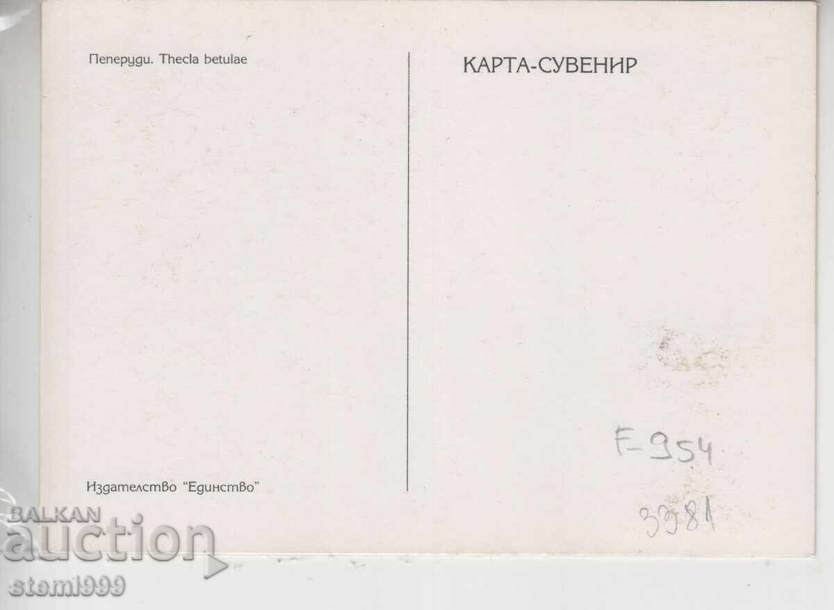 Postcard MAX FDC Butterflies Insects with price 2.50 BGN | € 1.28