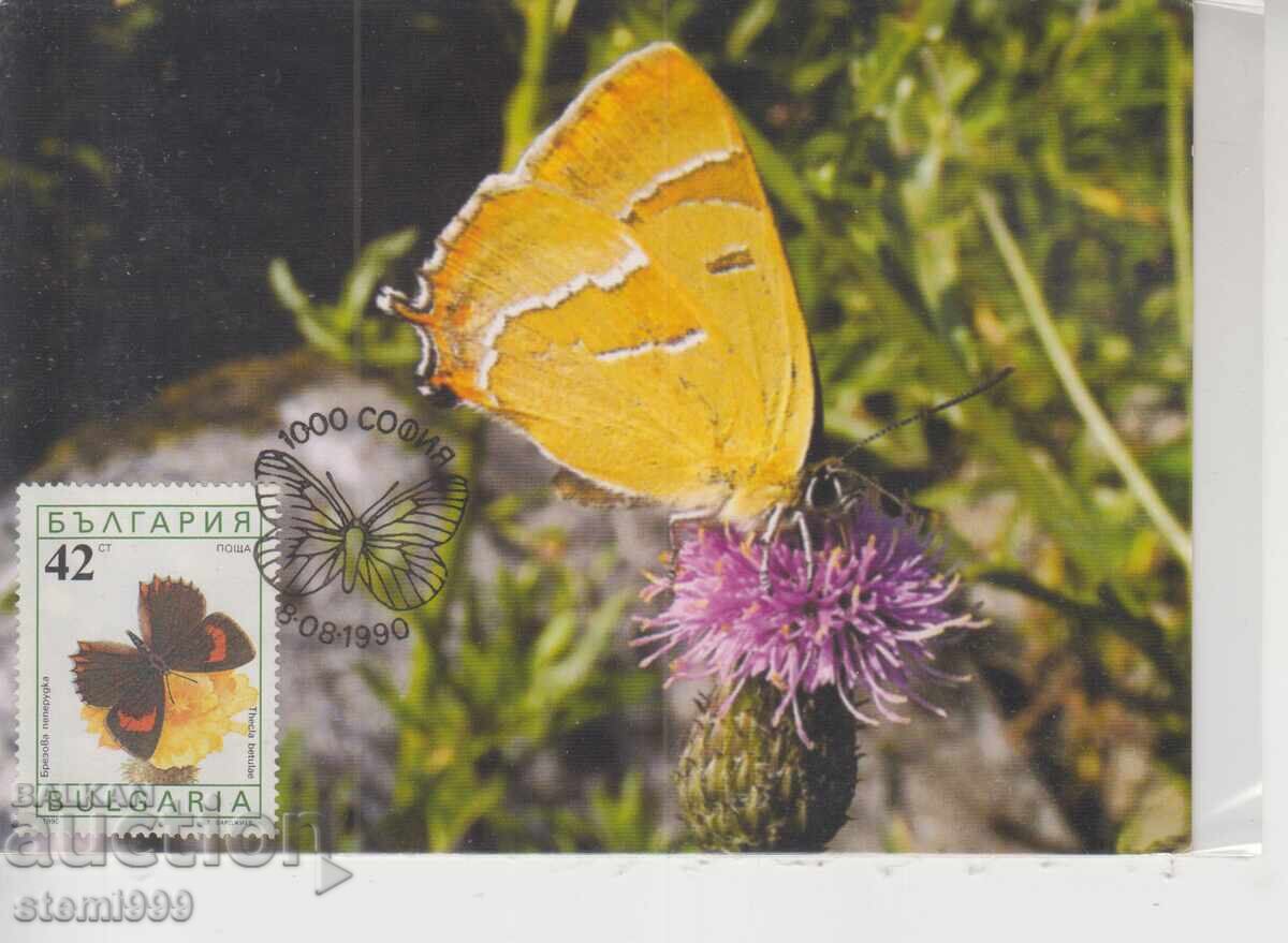Postcard MAX FDC Butterflies Insects