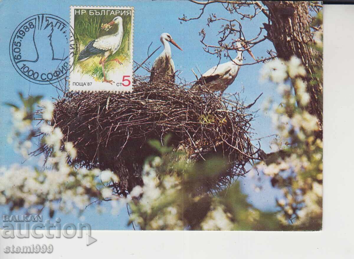 Μέγιστη κάρτα FDC ΠΤΗΝΑ Πελαργός Μέγιστη κάρτα FDC ΠΤΗΝΑ Πελαργός