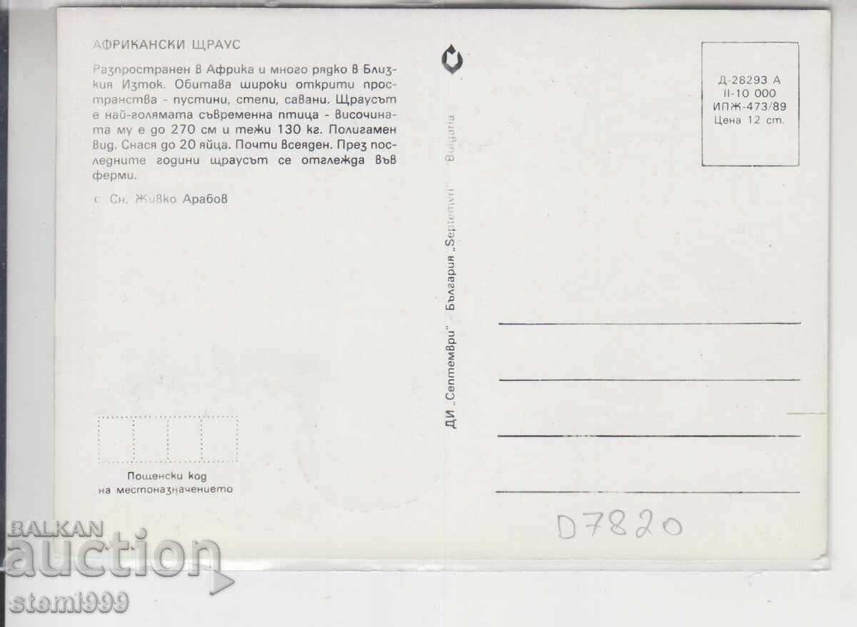 Μέγιστη κάρτα FDC ΠΤΗΝΑ Στρουθός με τιμή 2.50 BGN | € 1.28 Μέγιστη κάρτα FDC ΠΤΗΝΑ Στρουθός με τιμή 2.50 BGN | € 1.28