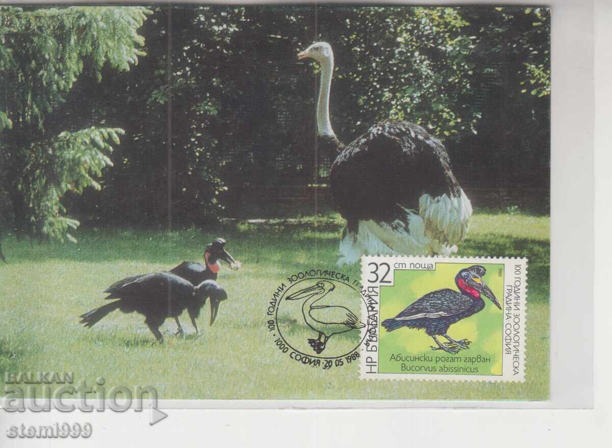 Μέγιστη κάρτα FDC ΠΤΗΝΑ Στρουθός Μέγιστη κάρτα FDC ΠΤΗΝΑ Στρουθός