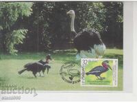 Μέγιστη κάρτα FDC ΠΤΗΝΑ Στρουθός
