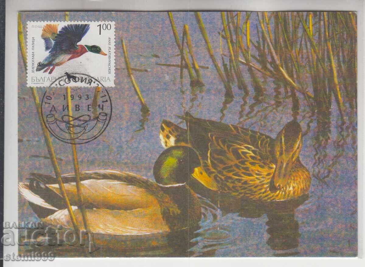 Карта максимум FDC ПТИЦИ ДИВЕЧ