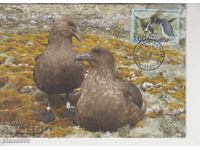 Карта максимум FDC ПТИЦИ