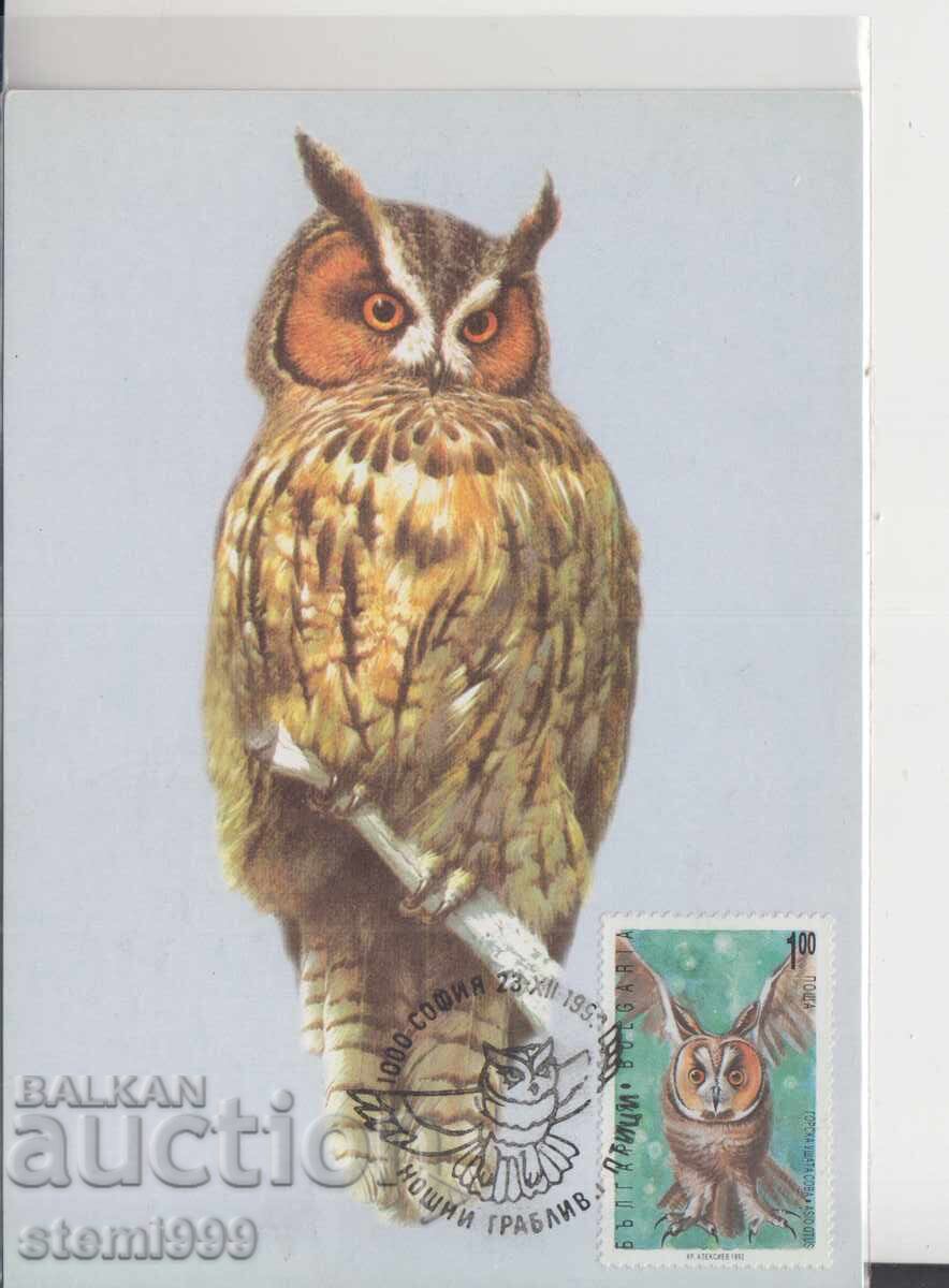 Maximum Card FDC NIGHT RAPTORS