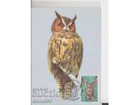 Μέγιστη κάρτα FDC ΝΥΧΤΕΡΙΝΑ ΑΡΠΑΚΤΙΚΑ ΠΟΥΛΙΑ