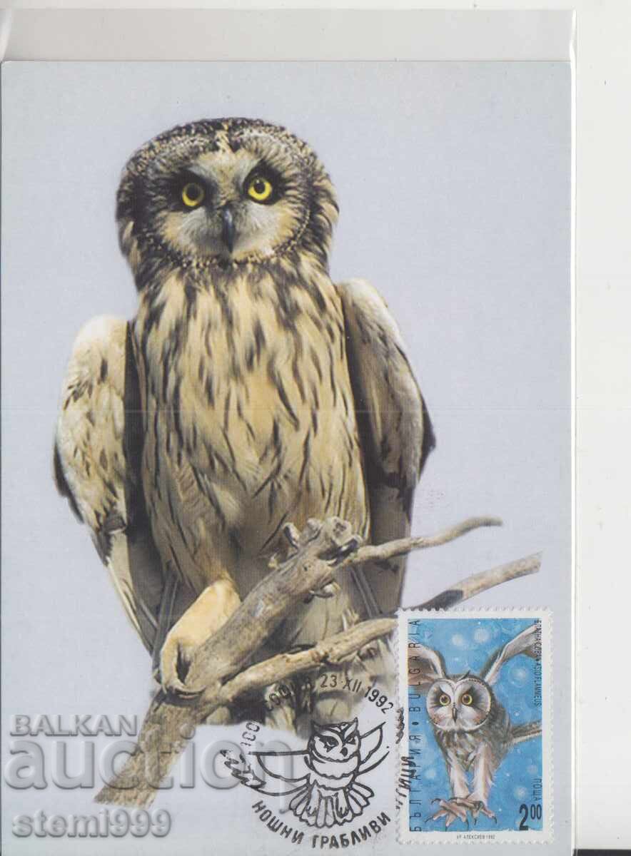 Μέγιστη κάρτα FDC ΝΥΧΤΕΡΙΝΑ ΑΡΠΑΚΤΙΚΑ ΠΟΥΛΙΑ