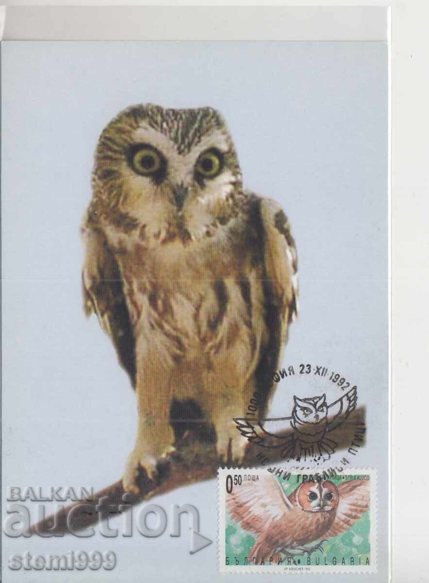 Μέγιστη κάρτα FDC ΝΥΧΤΕΡΙΝΑ ΑΡΠΑΚΤΙΚΑ ΠΟΥΛΙΑ