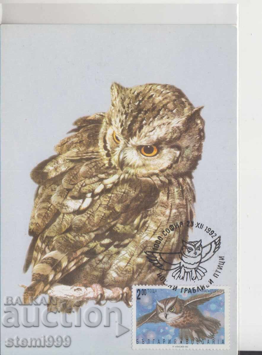 Maximum Card FDC NIGHT RAPTORS