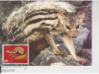 Maximum Card MAX PREDATORS