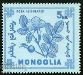 Άγρια δασικά φρούτα της Μογγολίας - 8 γραμματόσημα, 1968, Μογγολία με τιμή 4.20 BGN | € 2.15