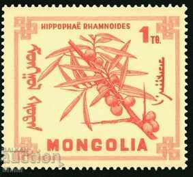 Άγρια δασικά φρούτα της Μογγολίας - 8 γραμματόσημα, 1968, Μογγολία - 7