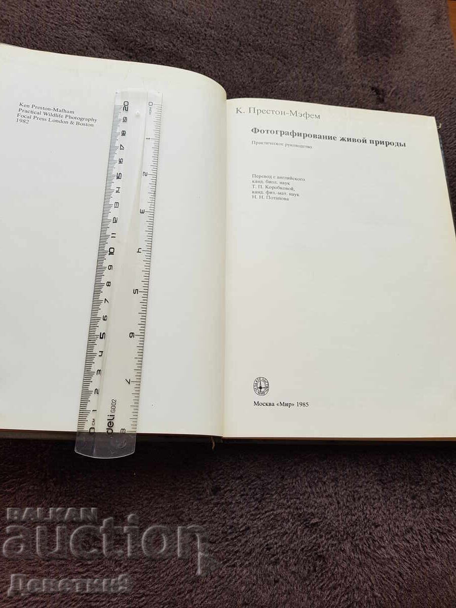 Auction  Photography of living nature - 1985