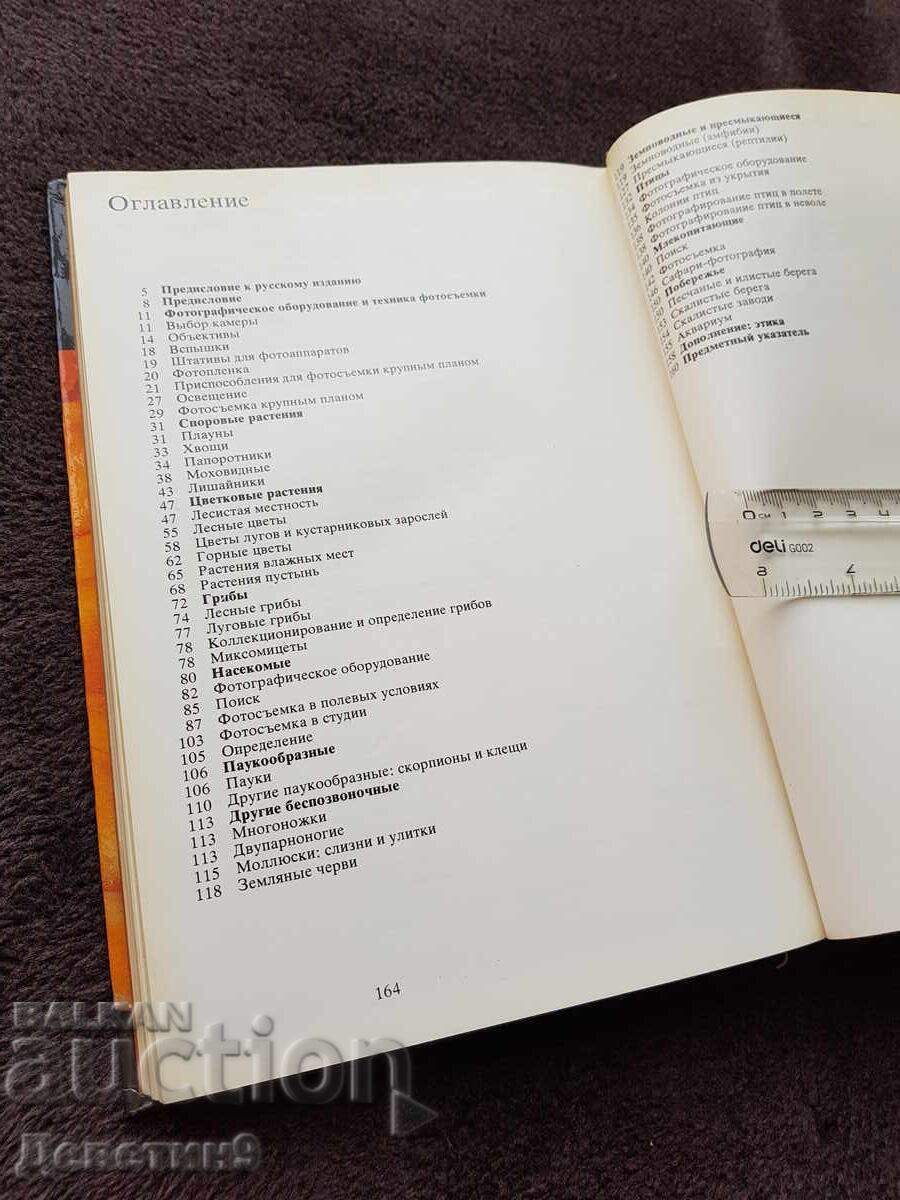 Delivery of Photography of living nature - 1985