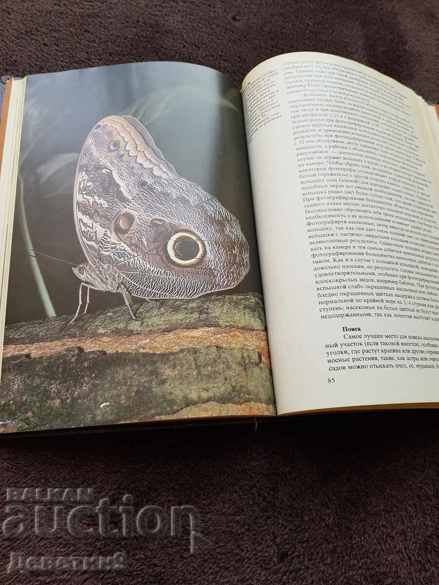 Photography of living nature - 1985 - 5