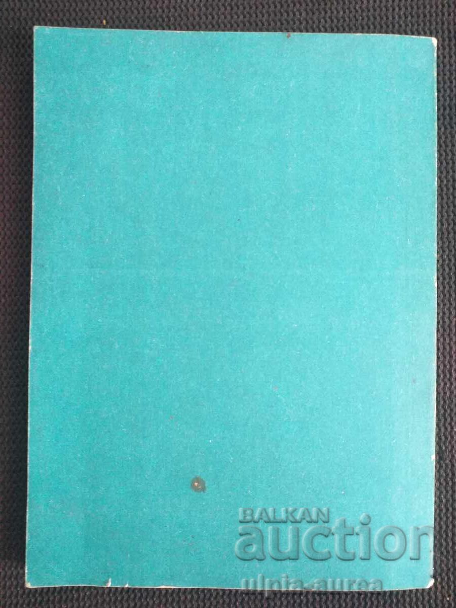 Auction  Turkey's Middle Eastern Policy