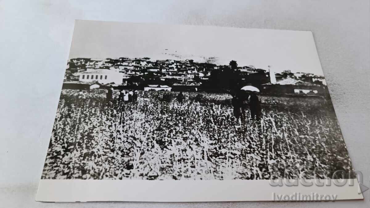 P. K. Hristo Smirnenski - his hometown of Kukush