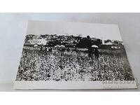 P. K. Hristo Smirnenski - his hometown of Kukush