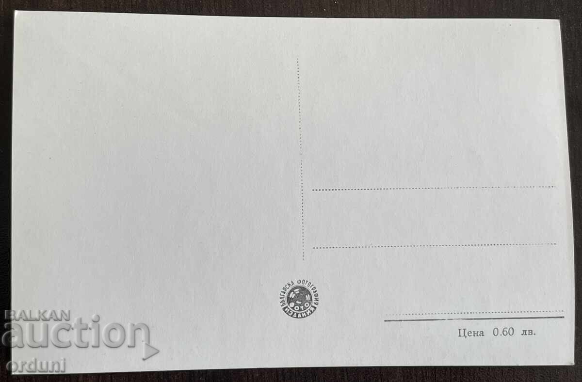 5011 Bulgaria postcard view Dimitrovgrad 50s with price 10.00 BGN | € 5.11