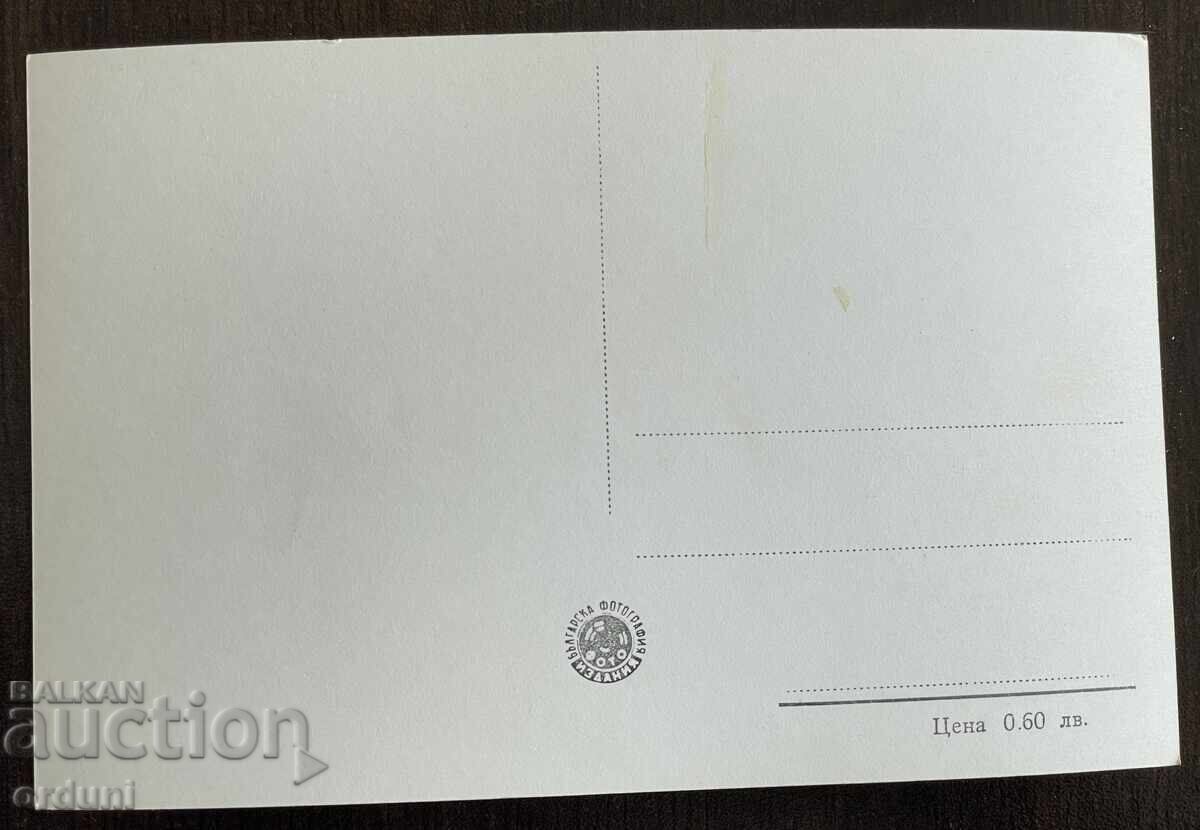 5014 Bulgaria postcard view Dimitrovgrad 50s with price 10.00 BGN | € 5.11