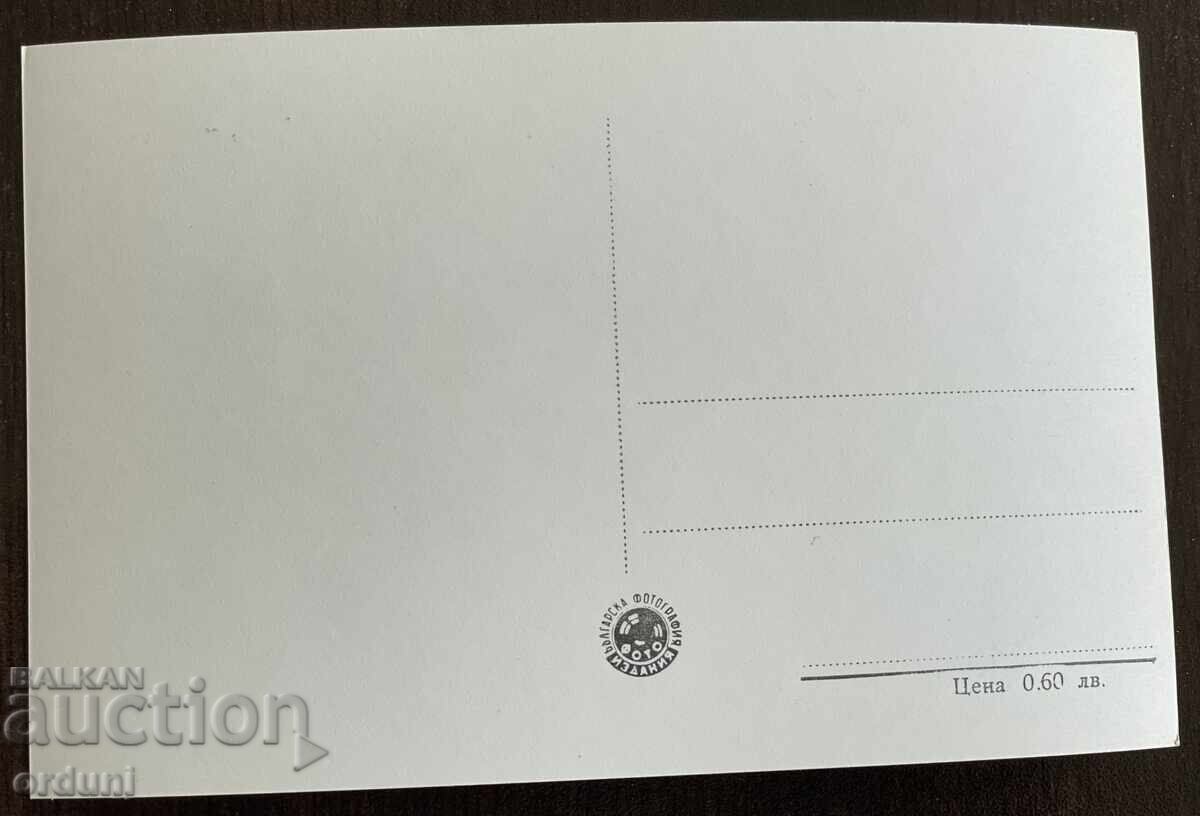 5015 Bŭlgariya cartolină vedere Dimitrovgrad anii '50 cu preț 10.00 BGN | € 5.11