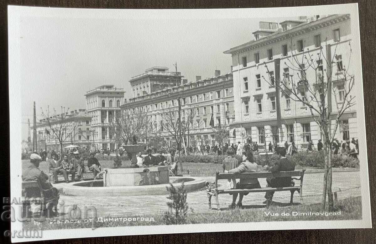 5015 Bŭlgariya cartolină vedere Dimitrovgrad anii '50