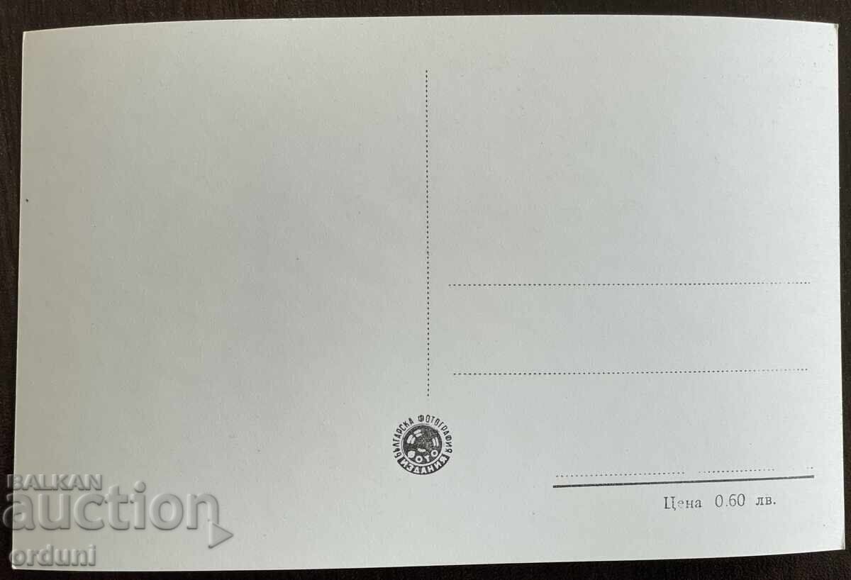 5016 Bulgaria postcard view Dimitrovgrad 50s with price 10.00 BGN | € 5.11