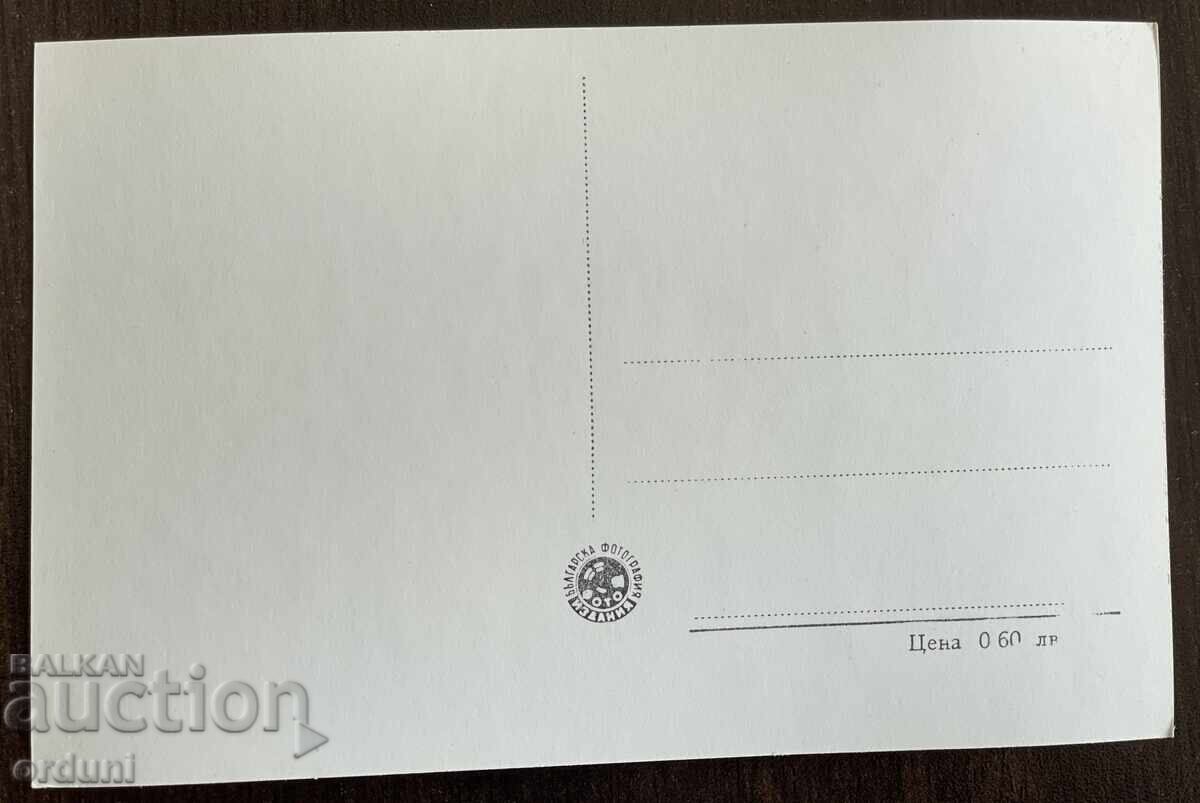 5022 Bulgaria postcard City Garden Kardzhali 50s with price 10.00 BGN | € 5.11