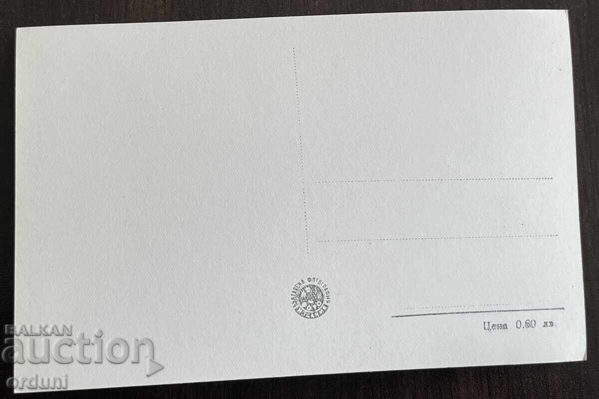 5026 Bulgaria Kolarovgrad Shumen Monument P. Volov 50s with price 10.00 BGN | € 5.11 5026 Bulgaria Kolarovgrad Shumen Monument P. Volov 50s with price 10.00 BGN | € 5.11