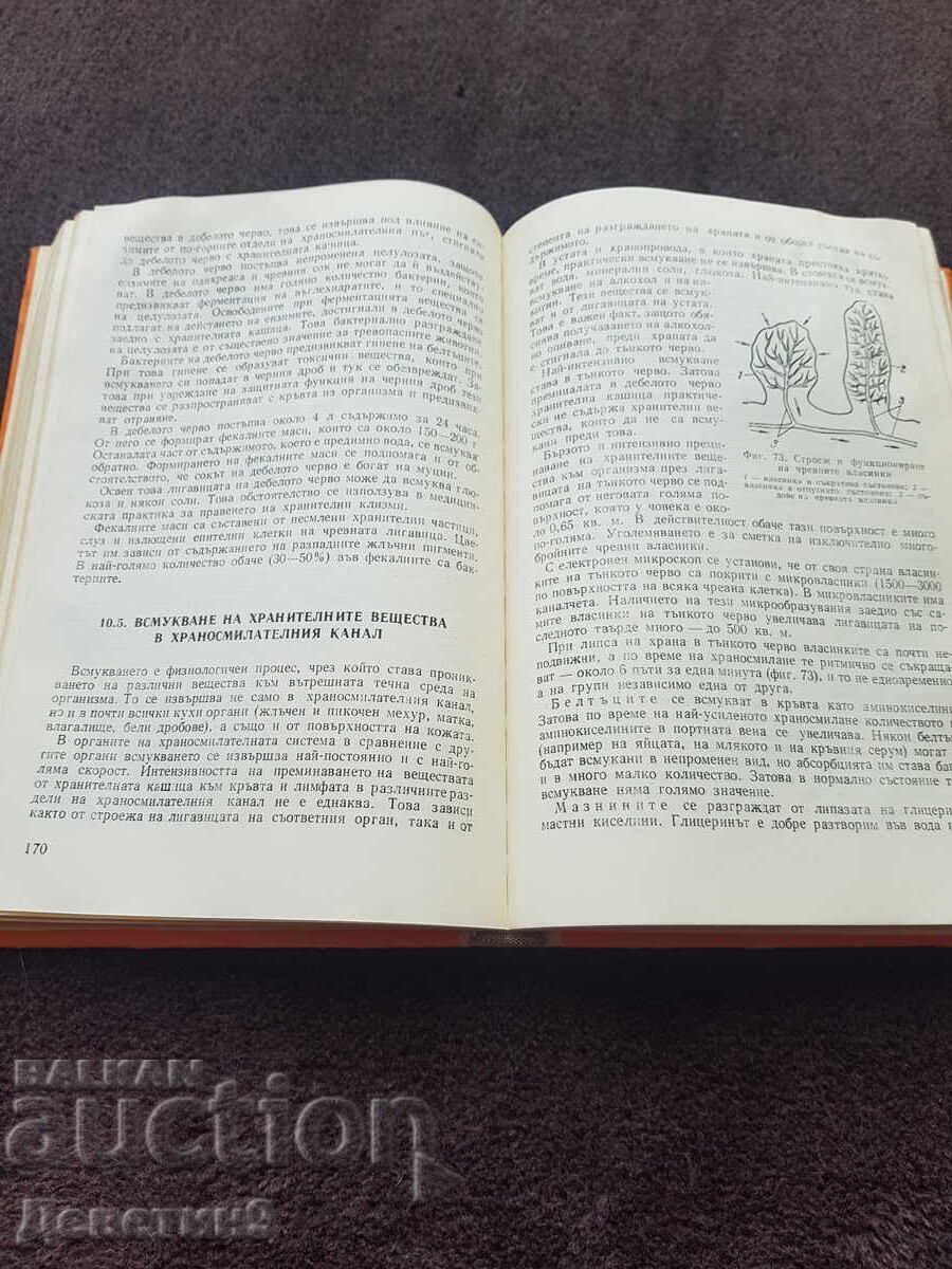 Fiziologia omului - A. Andreev, G. Nikolov 1978 g - 5 Fiziologia omului - A. Andreev, G. Nikolov 1978 g - 5