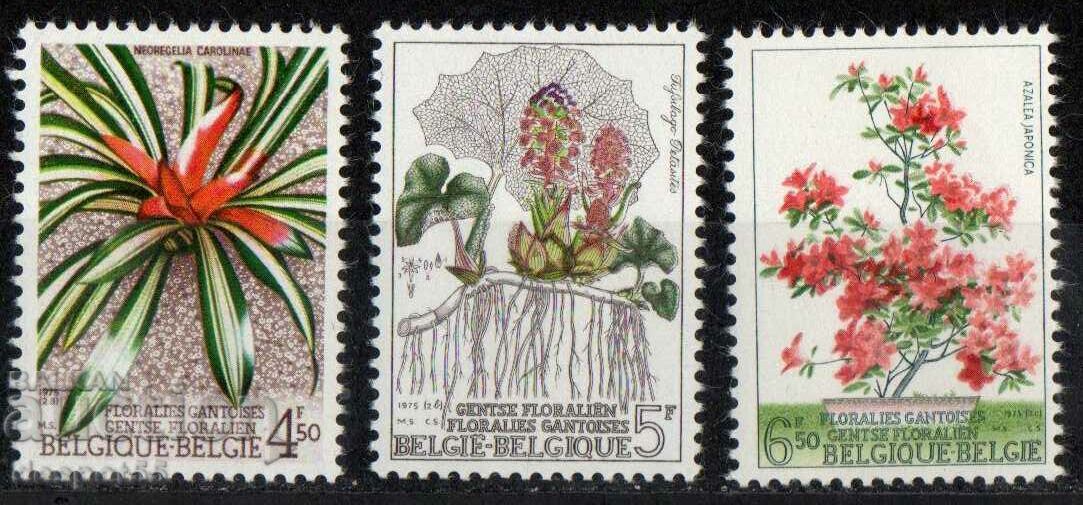 1975. Βέλγιο. Λουλούδια. 1975. Βέλγιο. Λουλούδια.