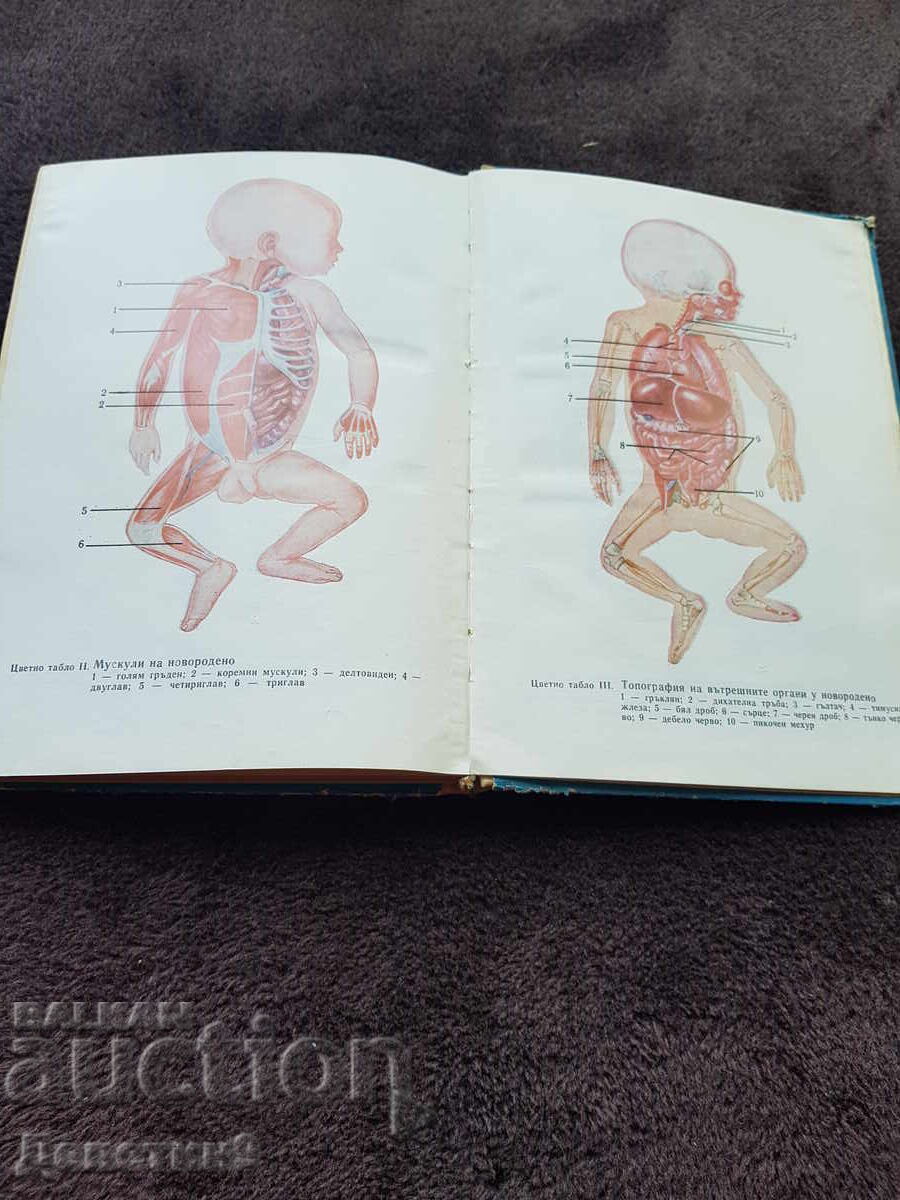 Ανατομία, φυσιολογία και υγιεινή του παιδιού - Βιβλίο 1971 - 6 Ανατομία, φυσιολογία και υγιεινή του παιδιού - Βιβλίο 1971 - 6