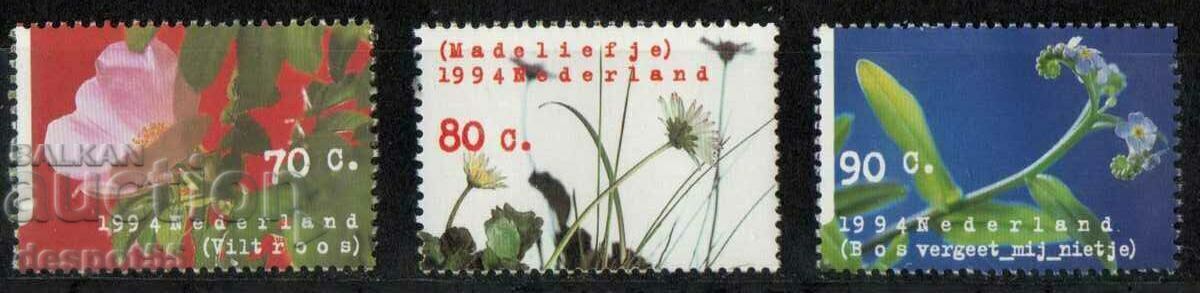 1994. Olanda. Flori.