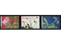 1994. The Netherlands. Flowers.