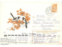 Plic poștal - Toamnă aurie